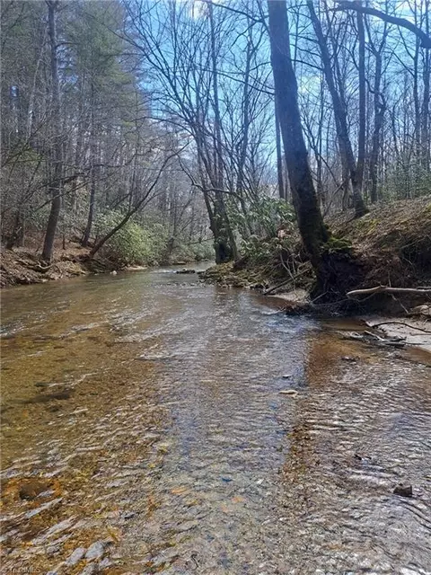 0000 Brushy Fork Rd, Cana, VA 24317