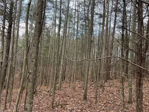 lot12 Fisher Valley Rd, Dobson, NC 27017