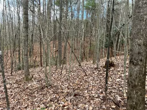 lot13 Fisher Valley Rd, Dobson, NC 27017