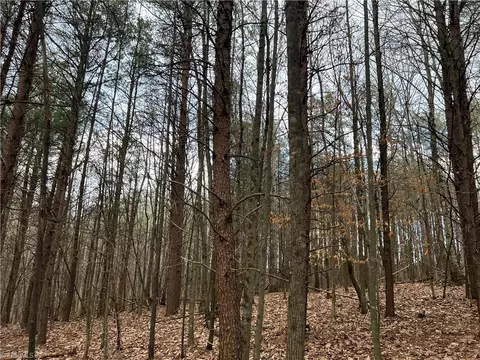 lot14 Fisher Valley Rd, Dobson, NC 27017