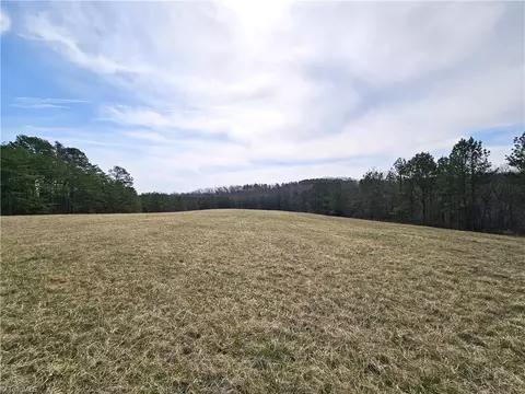 Nn 9.91ac Lot 1 Payne Road, Rural Hall, NC 27045