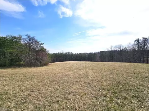 Nn 9.91ac Lot 2 Payne Road, Rural Hall, NC 27045