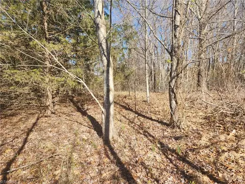 00 Golf Course Rd, Pilot Mountain, NC 27041 photo 11