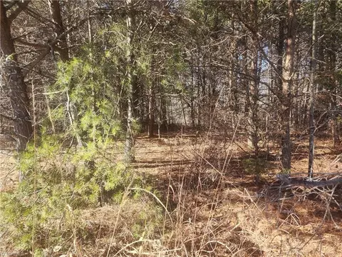 00 Golf Course Rd, Pilot Mountain, NC 27041 photo 14