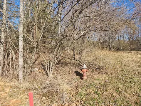 00 Golf Course Rd, Pilot Mountain, NC 27041 photo 5