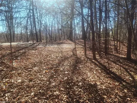 00 Golf Course Rd, Pilot Mountain, NC 27041 photo 15