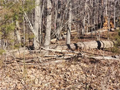 00 Golf Course Rd, Pilot Mountain, NC 27041 photo 13