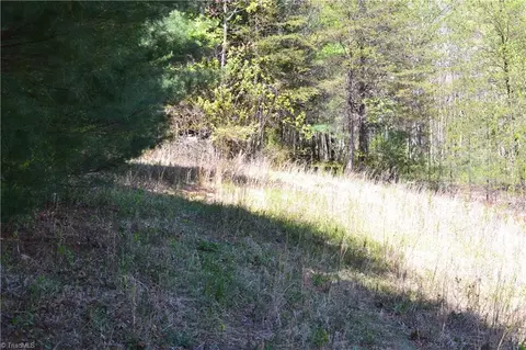 00 Swaringen Rd, Traphill, NC 28685 photo 8