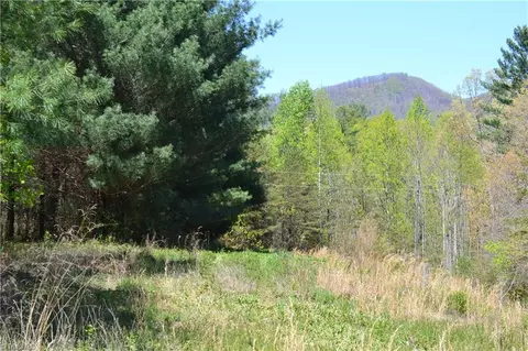 00 Swaringen Rd, Traphill, NC 28685 photo 3