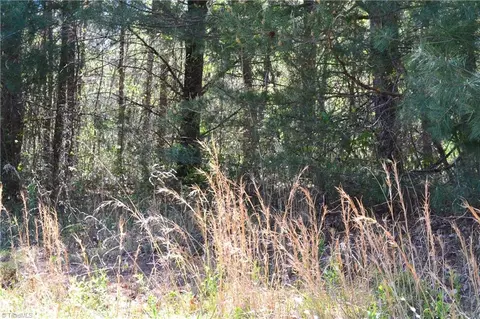 00 Swaringen Rd, Traphill, NC 28685 photo 14