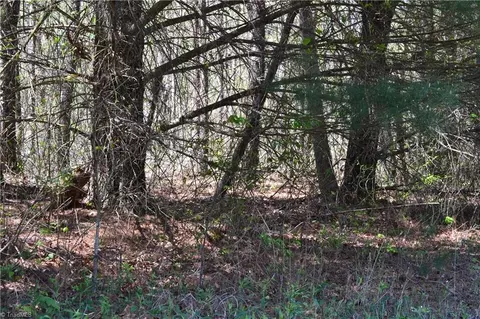 00 Swaringen Rd, Traphill, NC 28685 photo 7