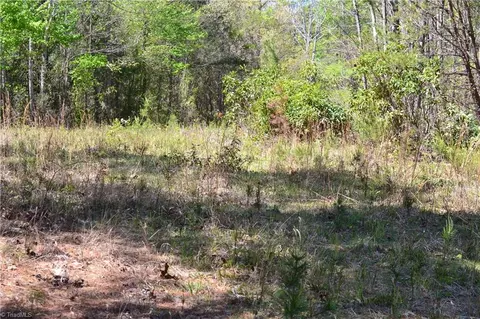 00 Swaringen Rd, Traphill, NC 28685 photo 10