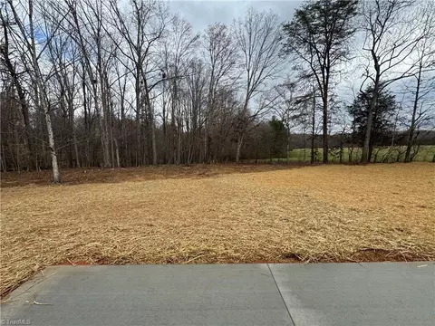 523 Culler Rd, Pinnacle, NC 27043 photo 50