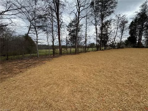 523 Culler Rd, Pinnacle, NC 27043 photo 48
