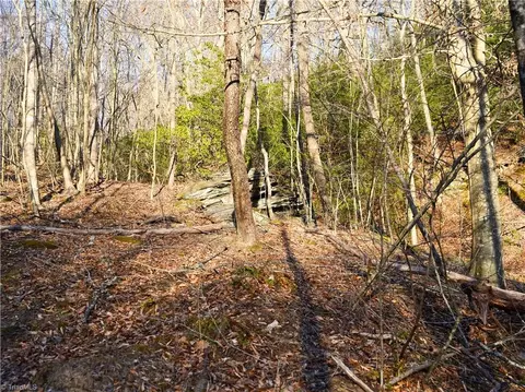 701 Log Cabin Dr, Ferrum, VA 24088 photo 43