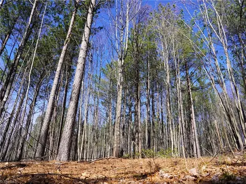 701 Log Cabin Dr, Ferrum, VA 24088 photo 35