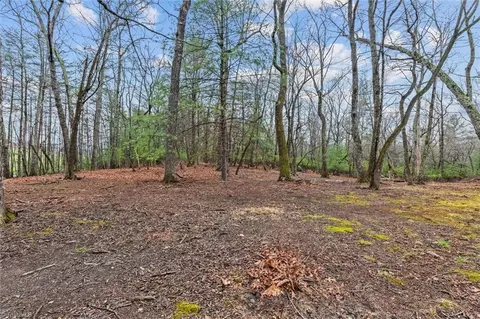407 Baldwin Dr, Lowgap, NC 27024 photo 35