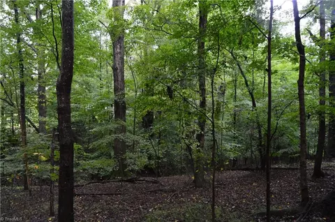 00 Ashley Loop, Eden, NC 27288 photo 8