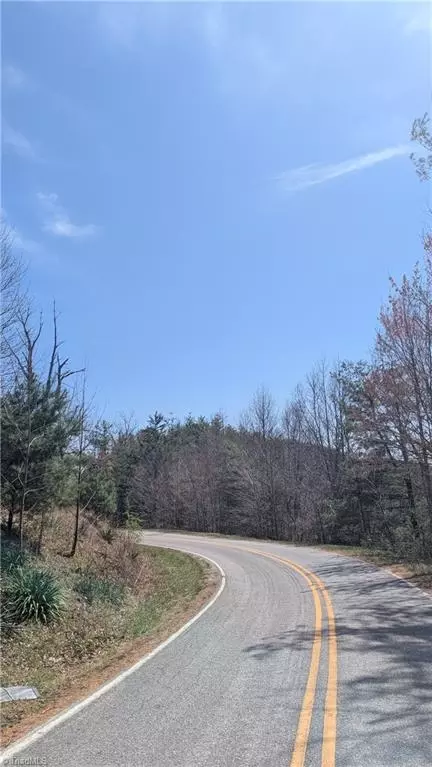 000 Big Ivy Rd, Purlear, NC 28665 photo 49