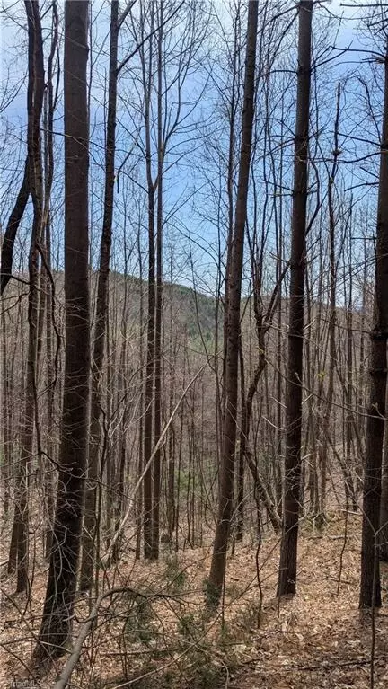 000 Big Ivy Rd, Purlear, NC 28665 photo 28