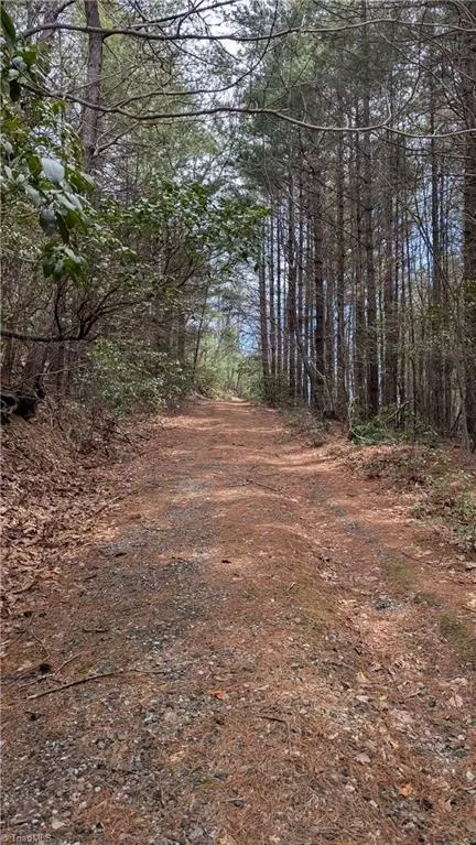 000 Big Ivy Rd, Purlear, NC 28665 photo 44