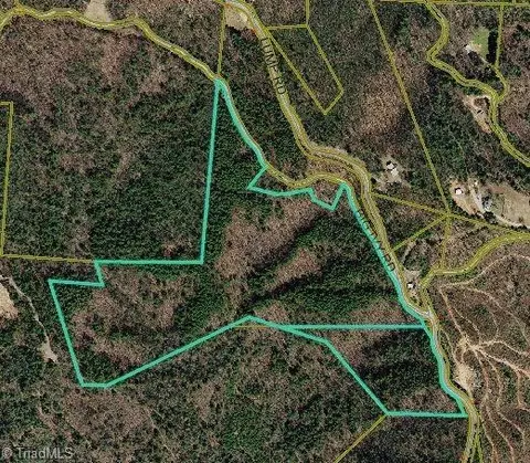 000 Big Ivy Rd, Purlear, NC 28665