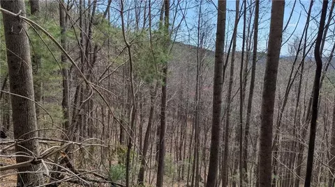 000 Big Ivy Rd, Purlear, NC 28665 photo 33