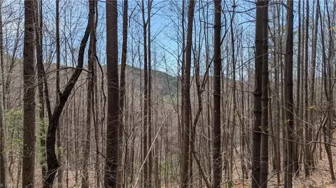 000 Big Ivy Rd, Purlear, NC 28665 photo 29