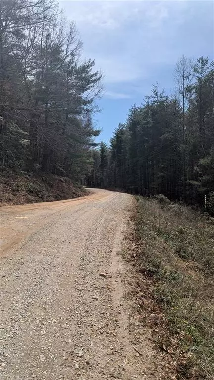000 Big Ivy Rd, Purlear, NC 28665 photo 19