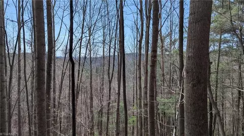 000 Big Ivy Rd, Purlear, NC 28665 photo 32