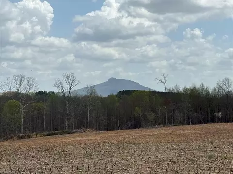 tbd Eldora Rd, Ararat, NC 27007