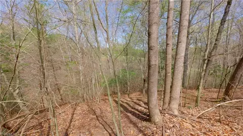 311 Phillips Rd, Dobson, NC 27017 photo 28