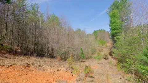 311 Phillips Rd, Dobson, NC 27017 photo 23