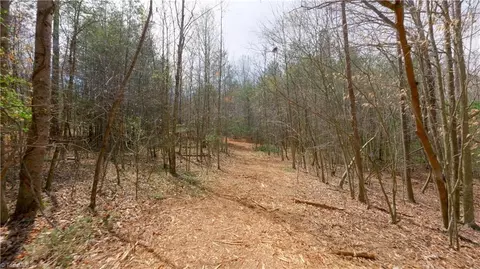 311 Phillips Rd, Dobson, NC 27017 photo 29