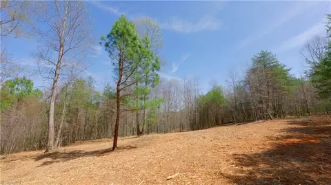 311 Phillips Rd, Dobson, NC 27017 photo 19