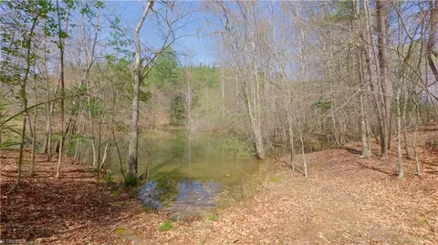 311 Phillips Rd, Dobson, NC 27017 photo 24