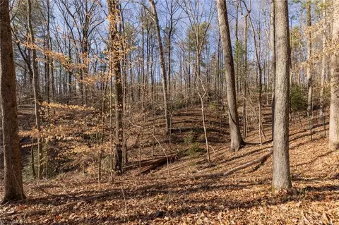 220 Dowell Dr, Roaring River, NC 28669 photo 34
