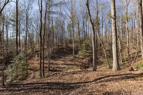 220 Dowell Dr, Roaring River, NC 28669 photo 36