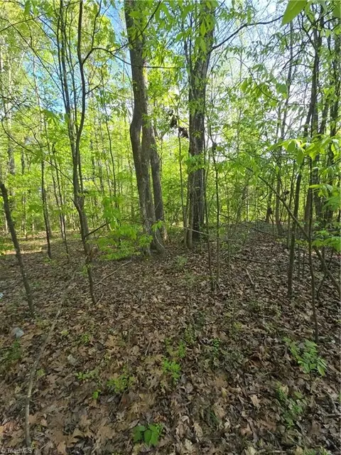 219 Dot St, Denton, NC 27239 photo 3