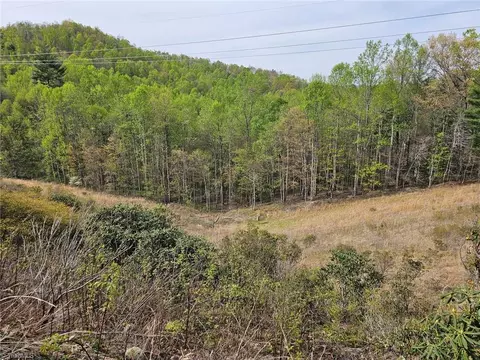 Off Nc Highway 16 N, Millers Creek, NC 28651