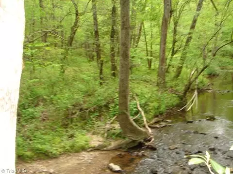 00 Dan Rd, Robbins, NC 27325 photo 36
