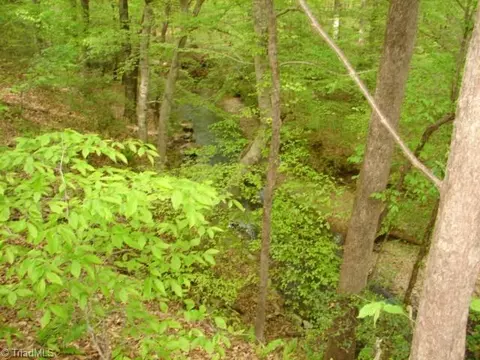 00 Dan Rd, Robbins, NC 27325 photo 22