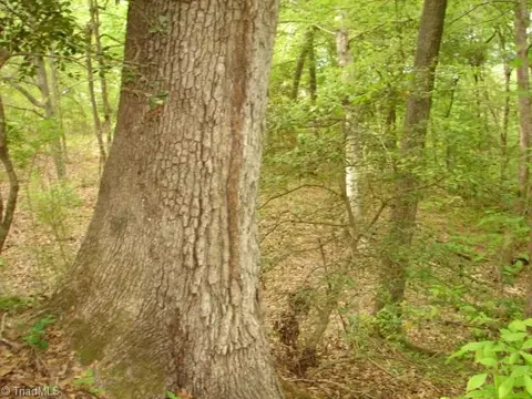 00 Dan Rd, Robbins, NC 27325 photo 25