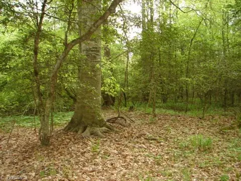 00 Dan Rd, Robbins, NC 27325 photo 47