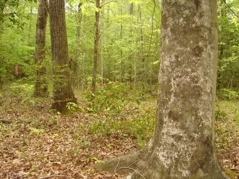 00 Dan Rd, Robbins, NC 27325 photo 42