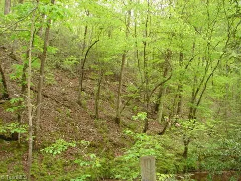 00 Dan Rd, Robbins, NC 27325 photo 41