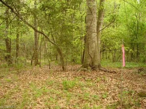 00 Dan Rd, Robbins, NC 27325 photo 34