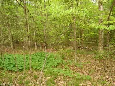00 Dan Rd, Robbins, NC 27325 photo 33