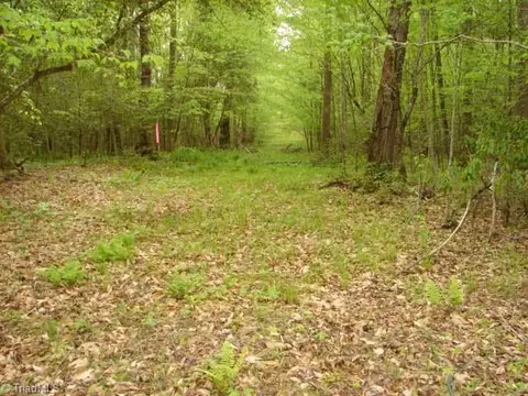 00 Dan Rd, Robbins, NC 27325 photo 46