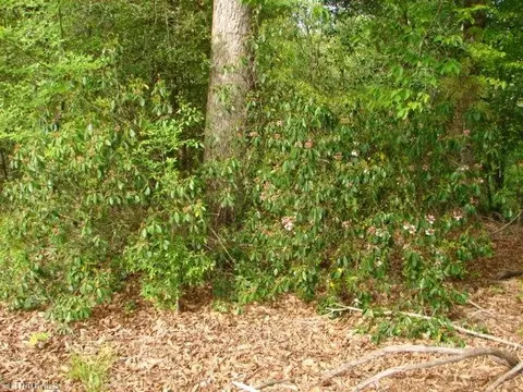 00 Dan Rd, Robbins, NC 27325 photo 27